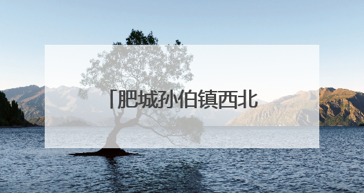 肥城孙伯镇西北角村：洋葱丰收圆百姓致富梦